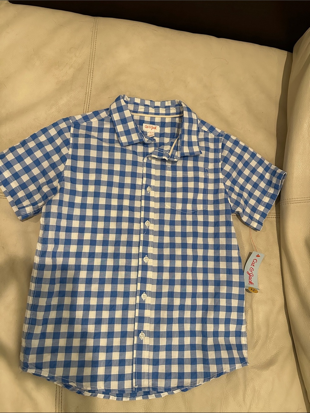 Cat & Jack Blue and White Gingham Short-Sleeve Button-Down Shirt